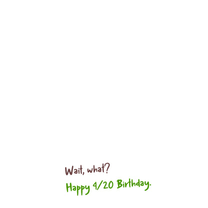 420, Dude